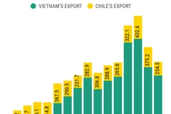 Vietnam - Chile trade relations