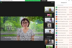 Promoting use of legal timber in domestic market