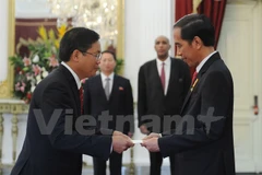 Vietnam-Indonesia stronger ties hoped for ASEAN Community growth 
