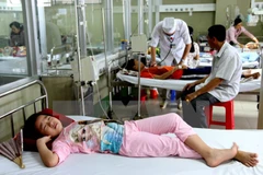 Dong Nai: increasing dengue cases 