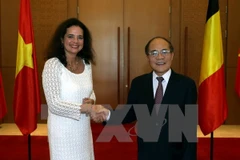 Vietnam, Belgium boost co-operation through parliamentary diplomacy