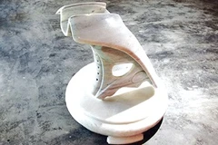 Spanish sculptor captures Vietnamese dream, spirit