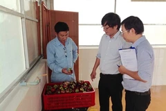 Safety standards maximise profits for fruit farmers 
