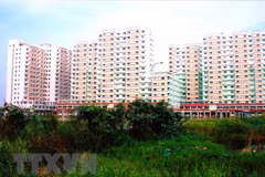 Vietnam needs to complete land market: experts