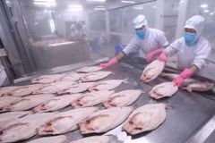 EVFTA shows Vietnam’s policy of supporting free trade: WB