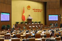 Various issues discussed in 11th working day of 14th NA's 7th session 