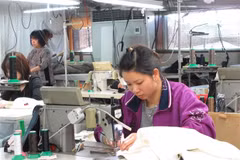 Japan’s Ibaraki prefecture to open door for more Vietnamese workers 