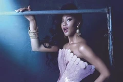 Star Awards honours contributors to Vietnamese entertainment