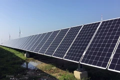 Hanoi, HCM City have largest number of key energy consumers