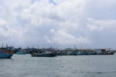 Binh Thuan province sees jump in seafood catch