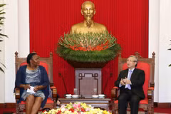 Party official affirms Mozambique’s importance to Vietnam 