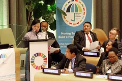 Vietnam shares experience in primary heathcare at UN meeting