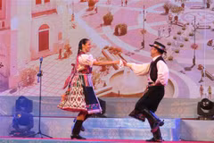 Hungarian cultural week kicks off in Can Tho