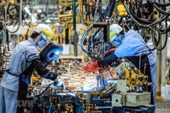 Industry hits four-year high of 9.56 pct in nine months 