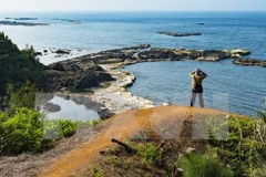 Tourists to Ly Son island district surge 