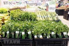 First PPP agricultural project launched in Hau Giang 
