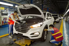 Vietnam confronts four economic challenges: Japanese expert