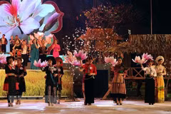 Ban flower festival to feature various activities