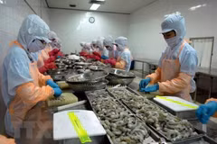 More than 22 billion USD in FDI poured into Mekong Delta