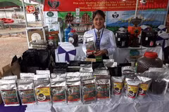 Cooperative turns Son La coffee into profitable business