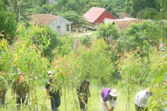 UN programme benefits over 6,000 locals in Lao Cai 