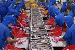 Vietnam’s tra fish exports to reach 2.3 billion USD in 2019