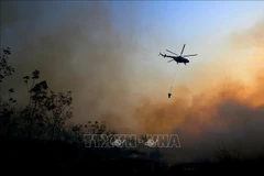 Indonesia deploys thousands of security personnel to fight forest fires