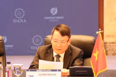 VNA leader suggests ways to win public trust in fake news combat 
