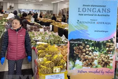Long journey of Vietnamese fruits to Australia
