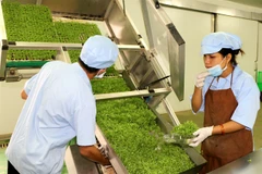 Agricultural start-ups should focus on long-term strategy
