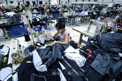 Mexico sees Vietnam as potential market in CPTPP