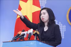 Vietnam hands diplomatic note opposing China’s military drills 
