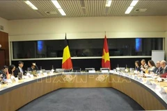 Vietnam, Belgium boost economic collaboration