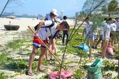 150 young Vietnamese expats join 2019 summer camp