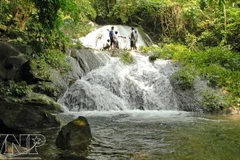 Xuan Son National Park develops community tourism