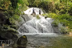 Xuan Son National Park develops community tourism