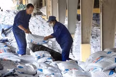 Fertiliser stocks nosedive on difficulties