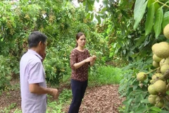 Son La, Laos’ Oudomxay province exchange experience in veteran affairs