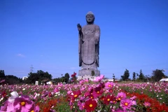 Ibaraki prefecture hopes for direct air route to Vietnam