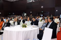 Da Nang city pushing ahead with investment attraction