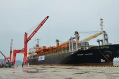 Vinh Tan int’l sea port welcomes first foreign vessel