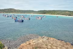 Phu Yen releases breeding shrimp, fish into the sea