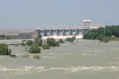 Dong Nai River water to reach top alert level