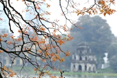 Hanoi listed in Top 25 global destinations by TripAdvisor