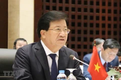 Deputy PM: Vietnam wants expand cooperative ties with Tanzania 