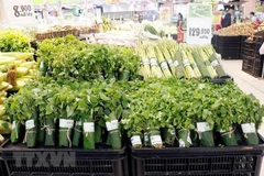 Ninh Binh says no to plastic bags
