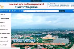 Vietnam to enhance management of e-commerce activities