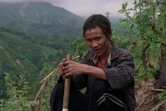 Vietnamese films shine at Singapore Media Festival 