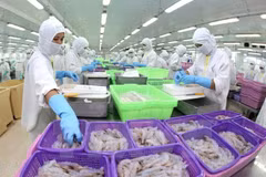Vietnamese shrimp exporters to US to enjoy zero tariffs