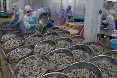 Vietnam aims to earn 4.2 billion USD from shrimp exports